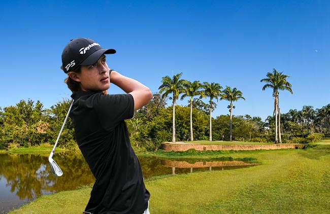 Gui Grinberg Sapezal